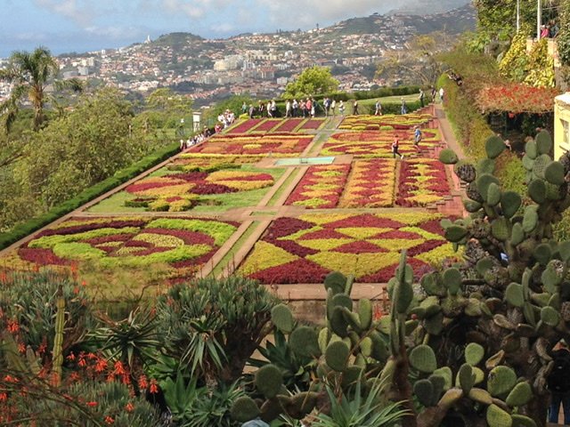 View of garden and mountains in Funchal