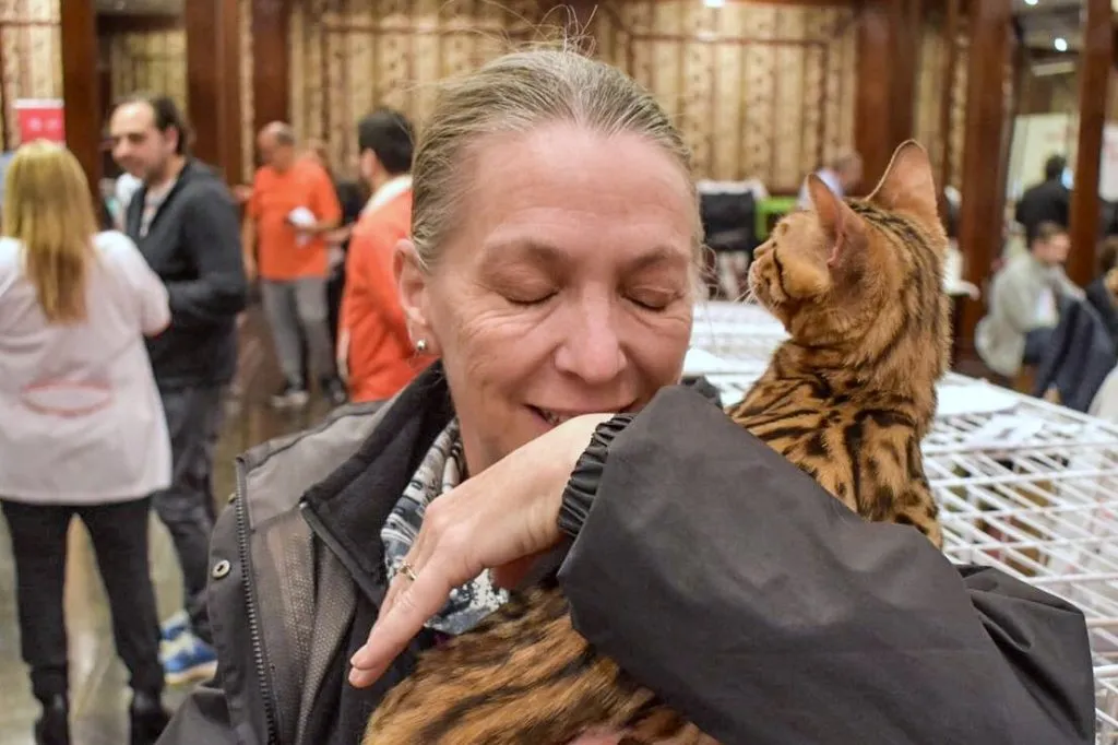 Woman hugging a cat