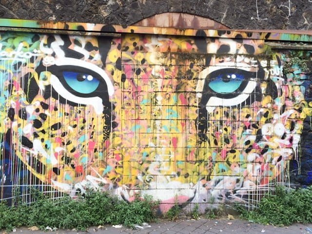 Mural of a close up of a big cat’s face with aqua colored eyes