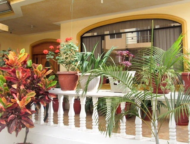 A front porch with plants