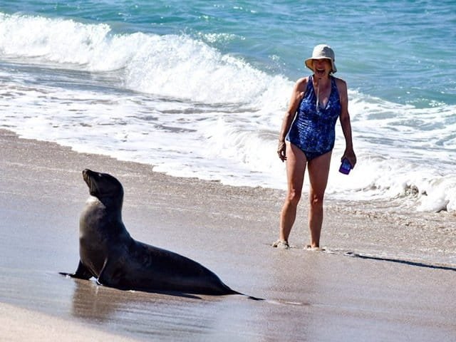 A woman and a sea lion on a beach