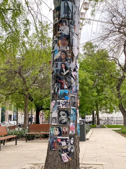 A tree covered with photos of Michael Jackson