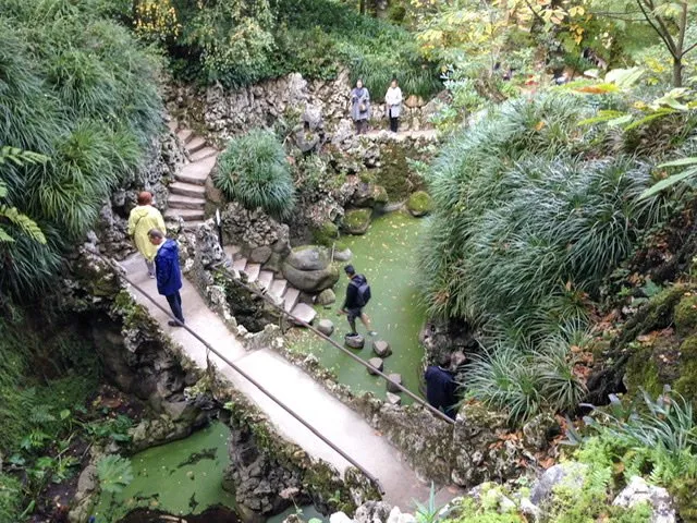Walkway, pond, and stepping stones in a park-like setting.