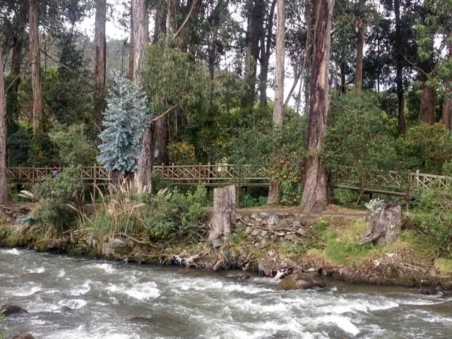 A fast-flowing river with a wooden walkway alongside it