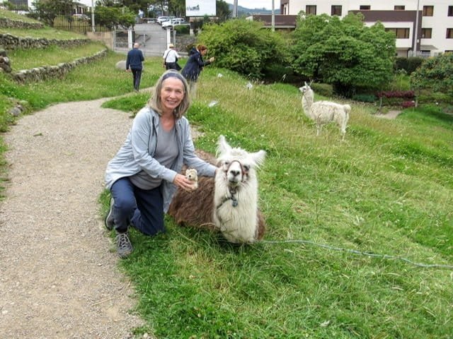 A woman kneeling next to a llama