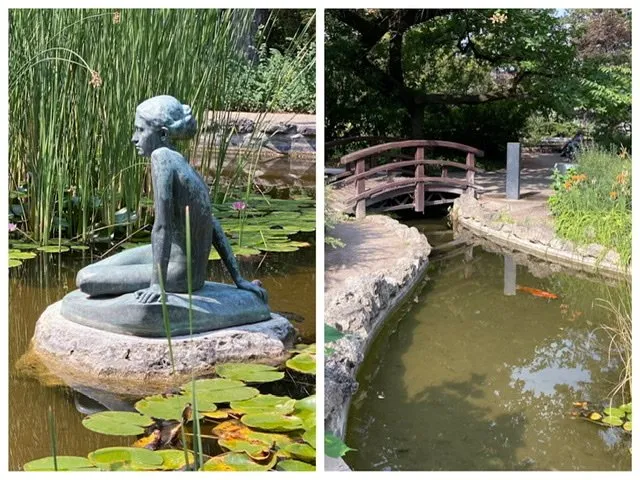 Statue and koi pond on Margaret Island
