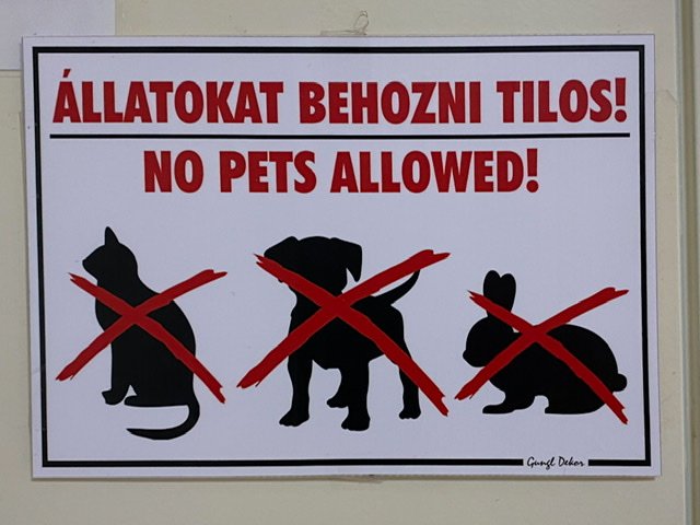 No pets allowed sign with cat, dog, and rabbit