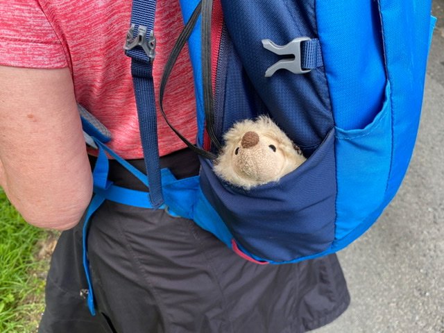 A toy hedgehog in a backpack