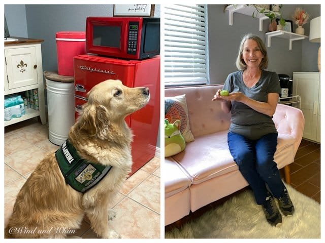 Two photos: a therapy dog and a woman holding a toy frog