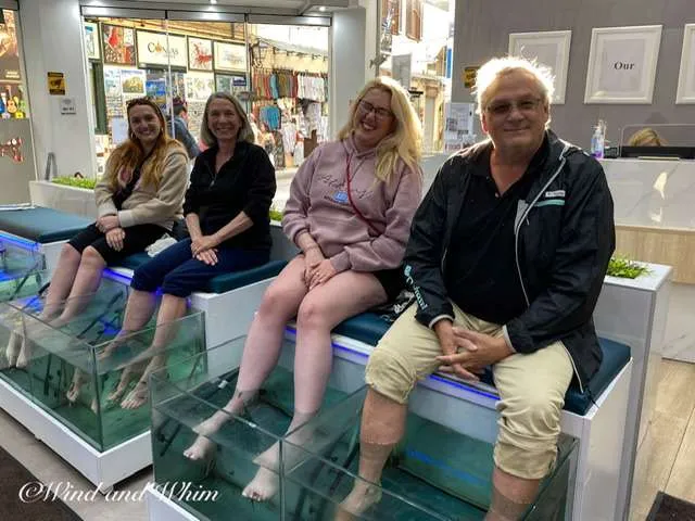 Four people having a fish pedicure