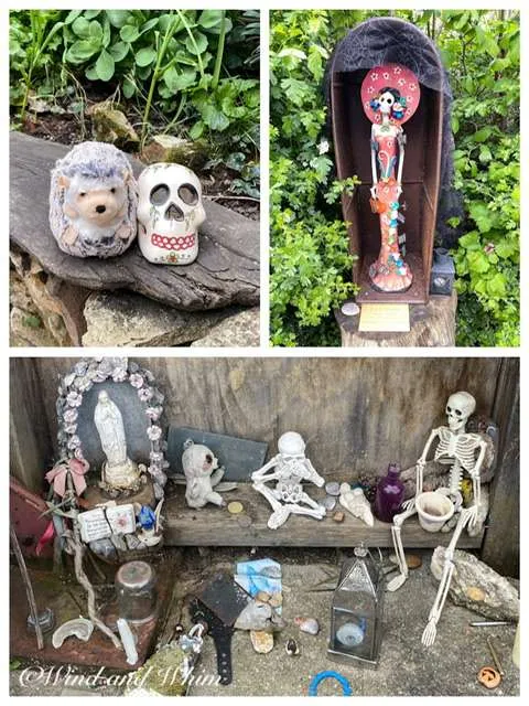 a collage of skulls and skeletons
