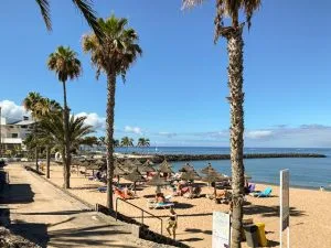 A beach with palm trees and thatched umbrellas