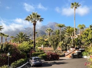 A garden with palm trees and cacti with mountains in the background