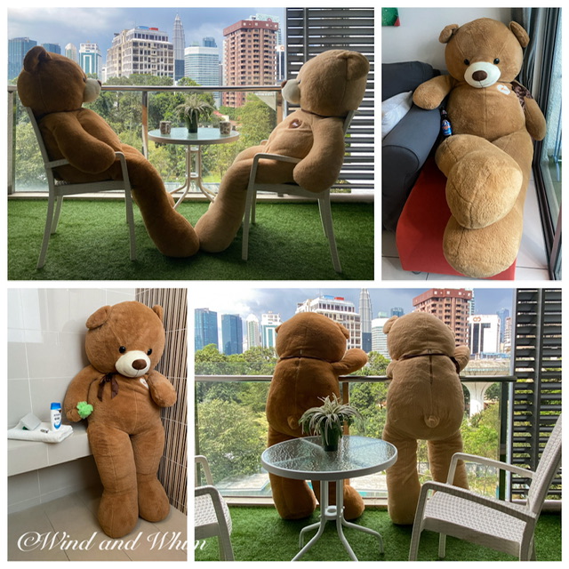 A collage of giant teddy bears in different poses