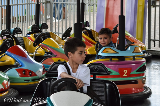 Two boys in bumper cars