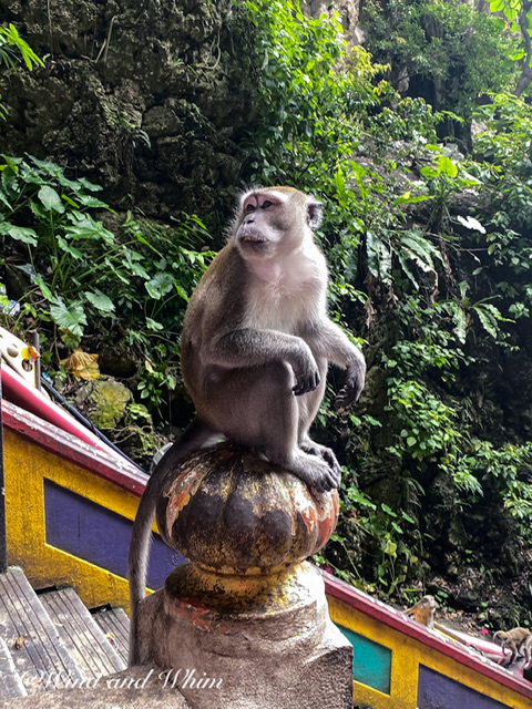 A long-tailed macaque sitting on a stairway post