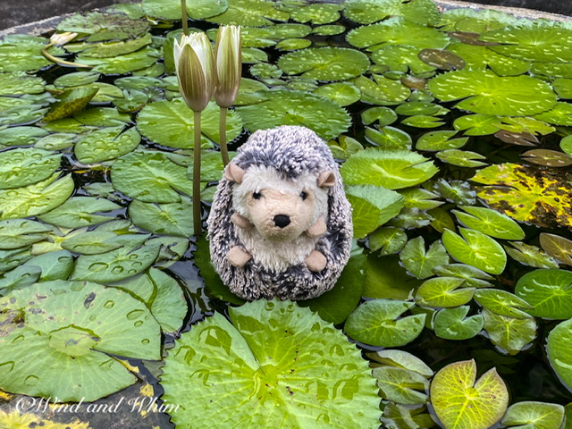 A toy hedgehog sitting on a water lily pad