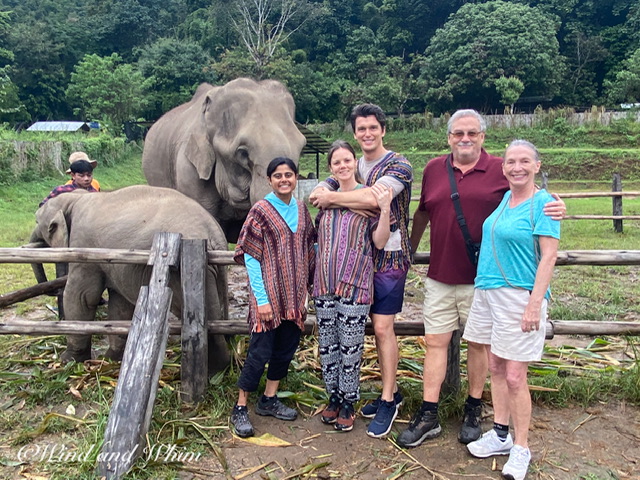 Five people standing by two elephants