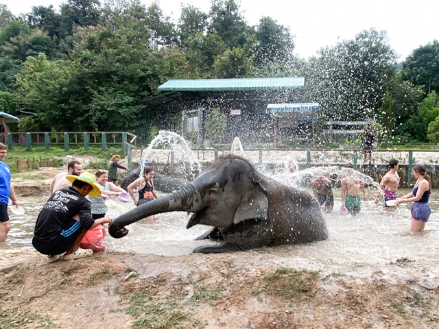 A group of people tossing water on an elephant