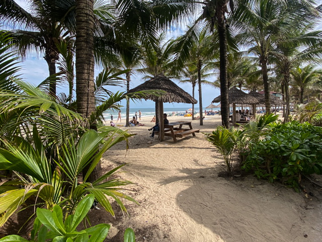 A path to a beach with tables, umbrellas, and palm trees