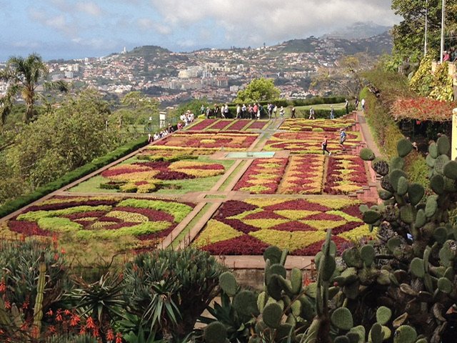 Part of the Madeira Botanical Garden