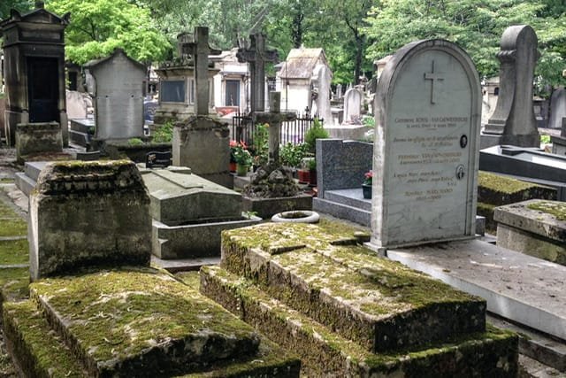 Moss covered graves