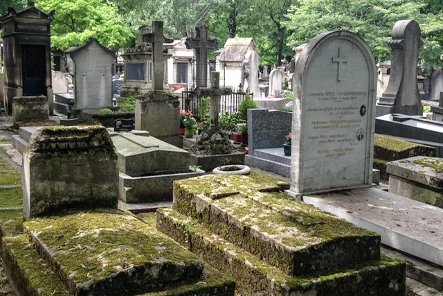 Moss covered graves