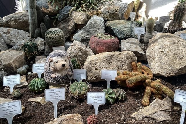A toy hedgehog in a bed of rocks and cacti
