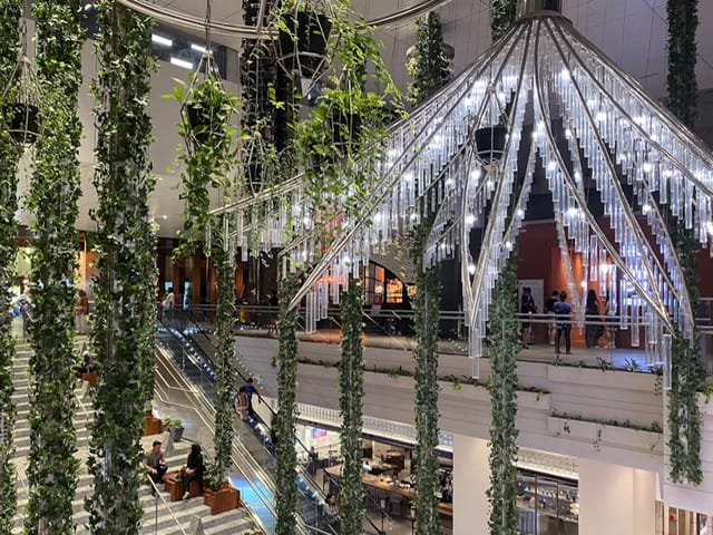 Hanging plants and lights in The Exchange TRX