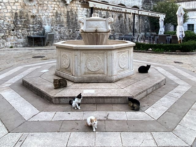 A fountain with five cats near it