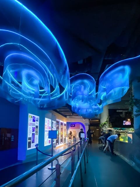 A hallway with neon lights