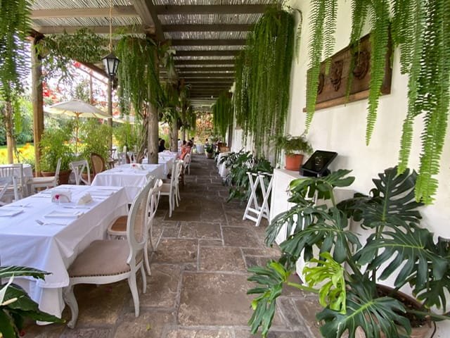 A plant-filled dining patio