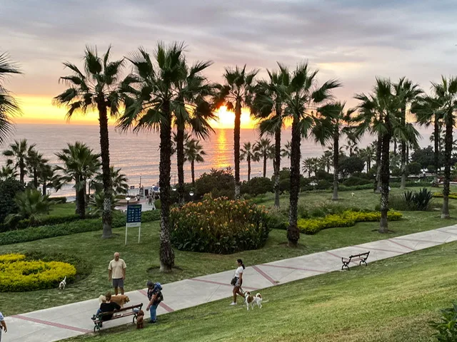An ocean-front park