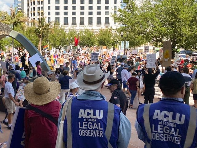 Crowds at a No Kings rally