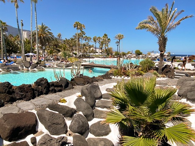 Cacti and rocks around a swimming pool