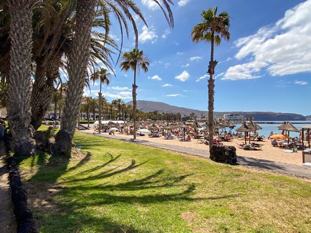 A beach with palm trees and umbrellas