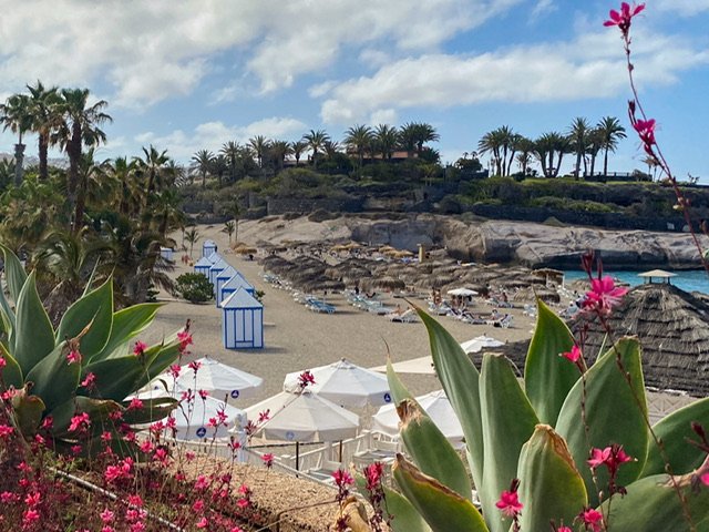 A beach nestled among boulders and plants