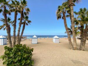 A beach with palm trees and cabanas