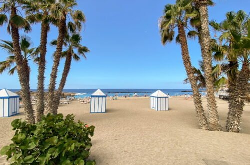 A beach with palm trees and cabanas
