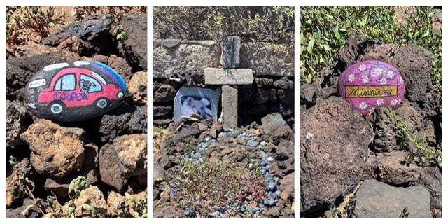Three pet graves