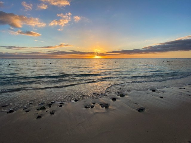 The sun setting over the ocean