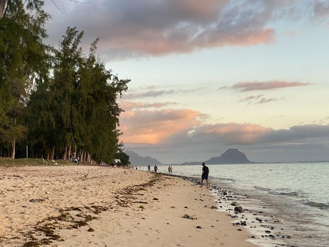 Trees and people on a beach at dusk with volcanoes in the distance