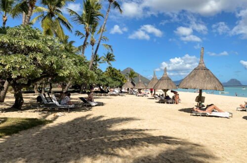 Trees and thatched umbrellas on a beach