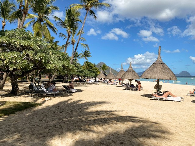 Trees and thatched umbrellas on a beach