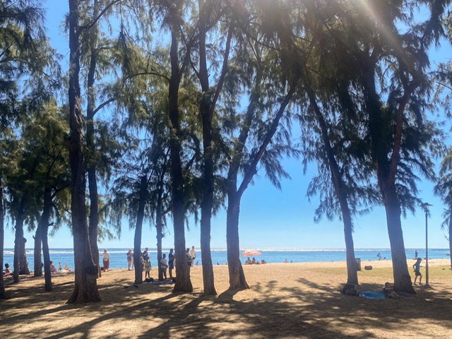People among trees on a beach