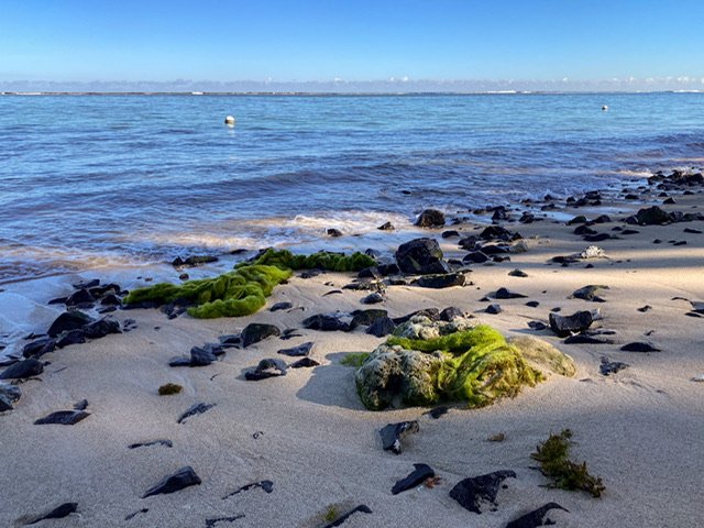 Rocks and seaweed on the beach