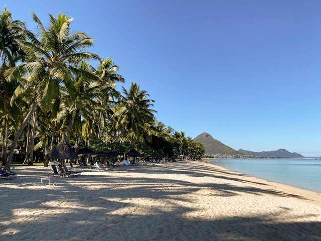 A beach lined with palm trees and a volcano in the distance