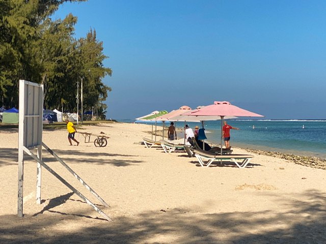 Beach chairs and umbrellas on the beach