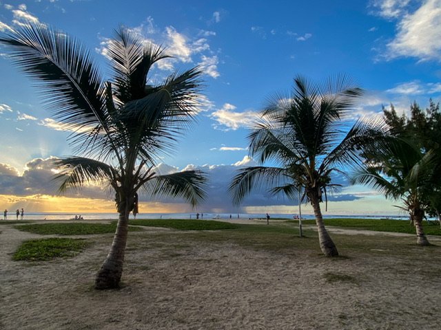 Palm trees on the beach at sunset