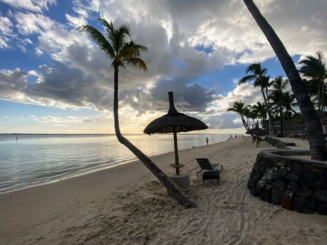 A palm tree bent at an angle on the ocean’s edge